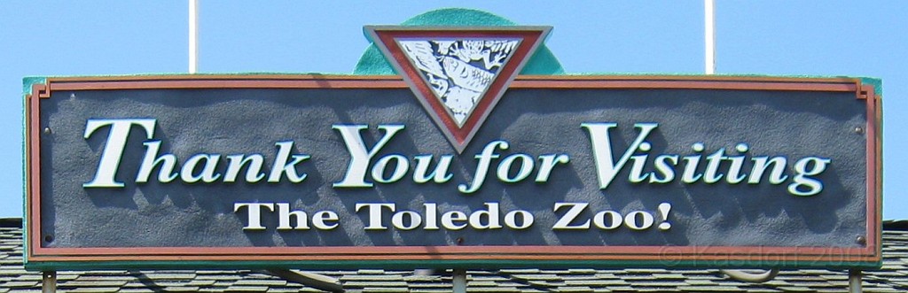 Dart Frog Dash 08 0825.jpg - . . . and you are quite welcome. We had a great time, and may make it back next year!